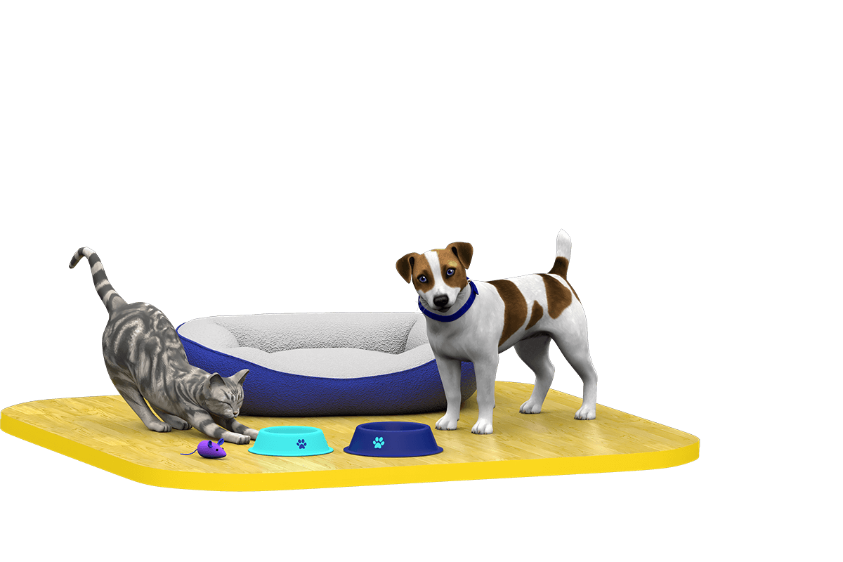 Cat and dog with pet bed and bowls.