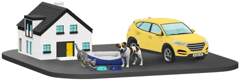 House, car, and pet insurance