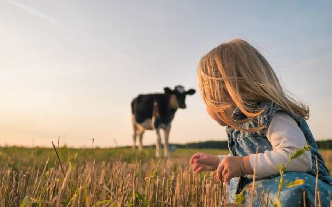 Young girl with cow on farm